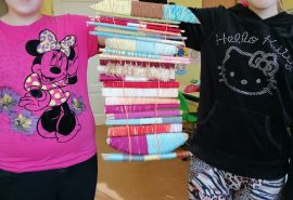 Dabas Vides Estētikas pulciņš