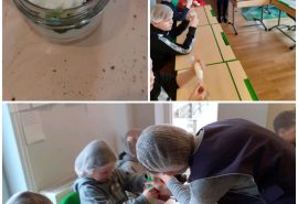 1.b klase sociālo zinību stundā