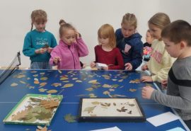 Dabaszinātņu un matemātikas nedēļa.