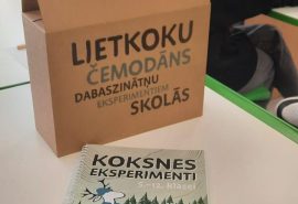 Lietkoku čemodāns. 🪵🧳