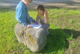 26. un 27.maijā Talsu pamatskolā notiek nodarbības “Koka pase” 1.- 8. klašu skolēniem.