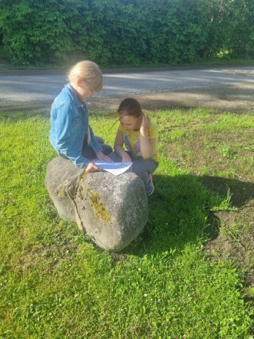 26. un 27.maijā Talsu pamatskolā notiek nodarbības “Koka pase” 1.- 8. klašu skolēniem.